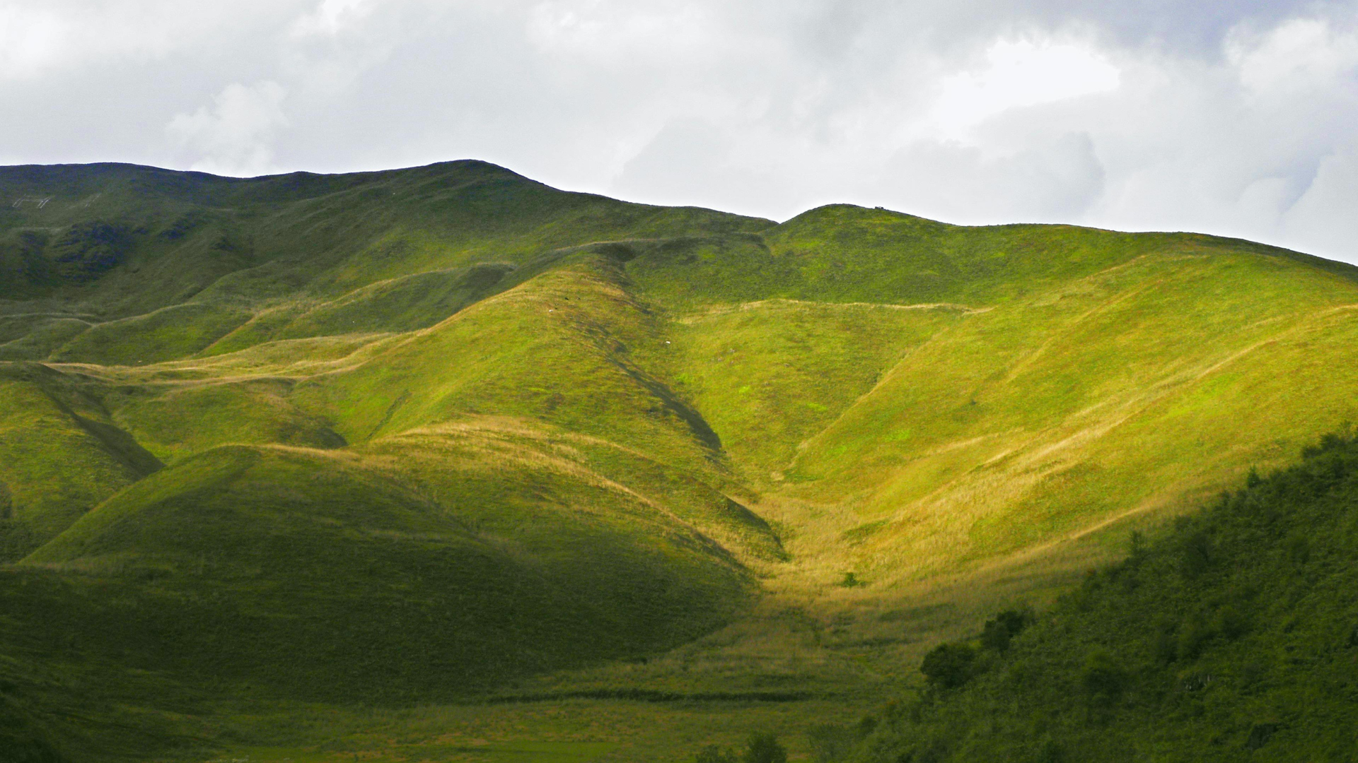 Colline