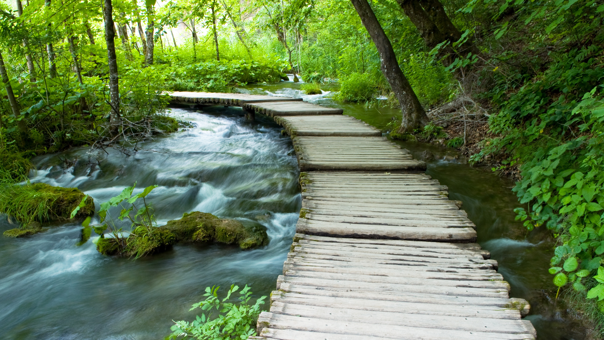 Parc Naturel
