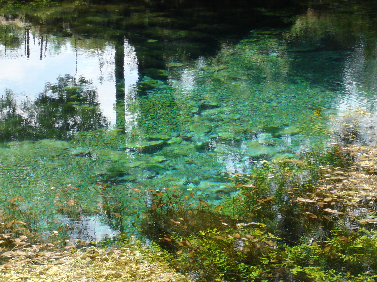 Source