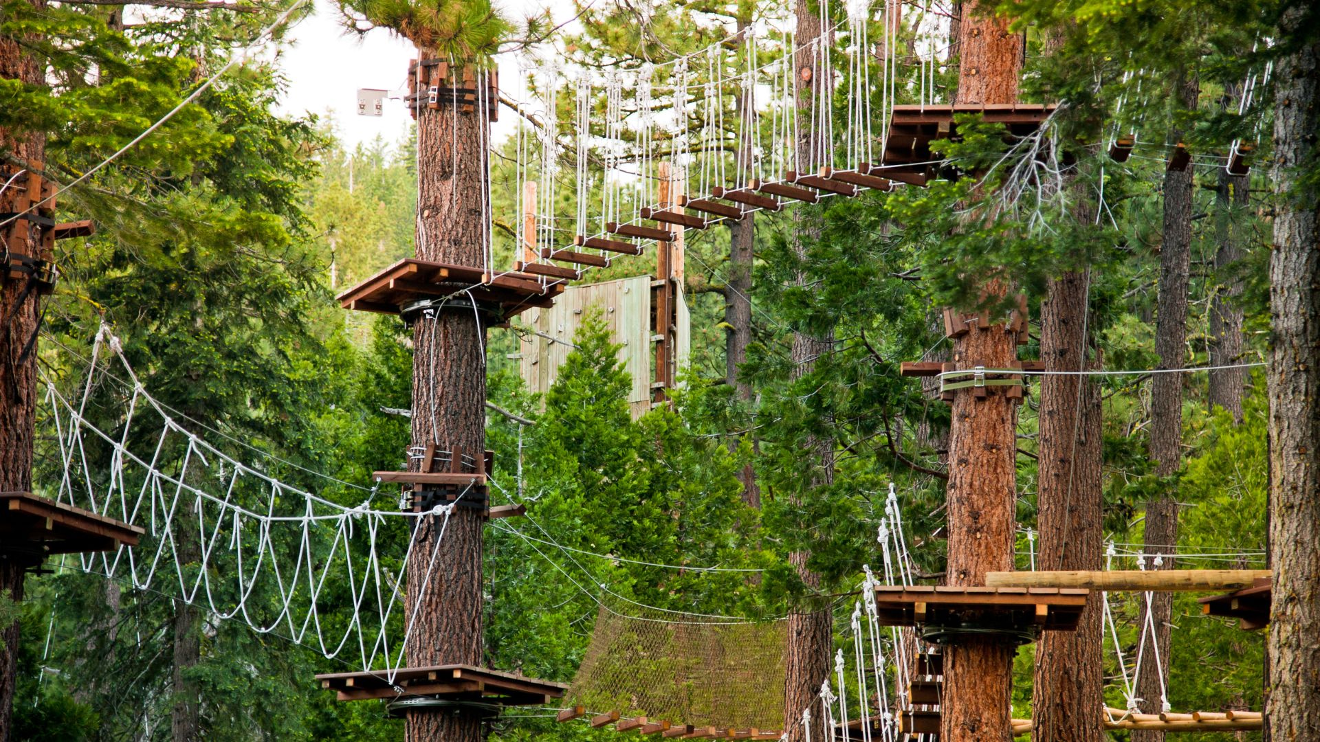 Accrobranche & Viaferrata