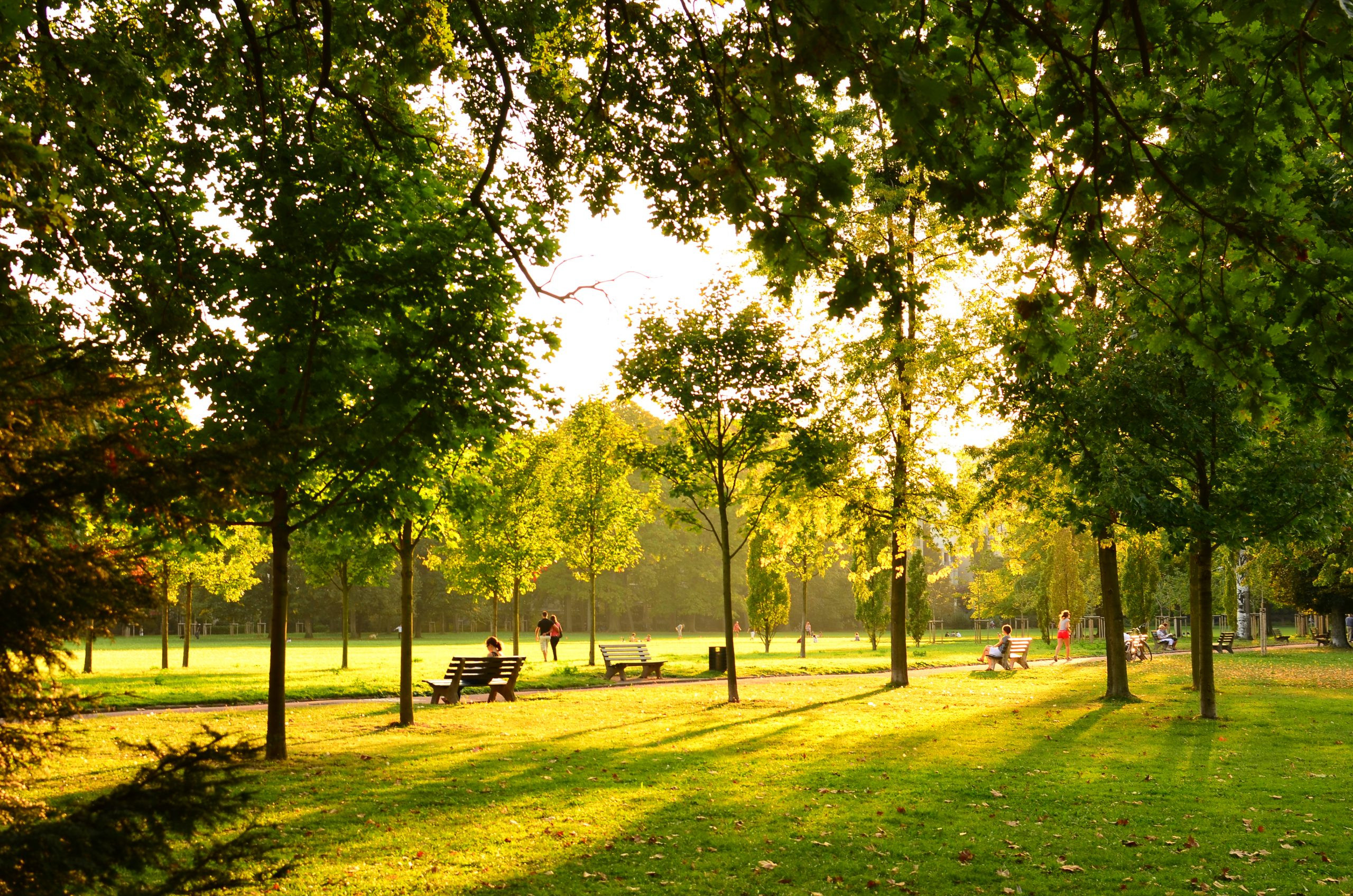 Parc